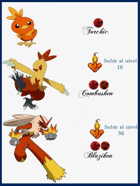 what level does torchic evolve